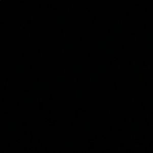 Meet your Posher, Zoey